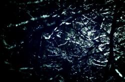 开云体育登录-南美风暴席卷欧陆，厄瓜多尔完胜匈牙利，阿方索·戴维斯独舞世界杯头名之争