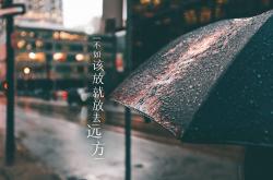 开云体育中国-南美飓风席卷东欧铁骑，厄瓜多尔战术革命与内马尔式的救赎，重塑2026世界杯D组格局