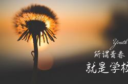 开云体育APP下载-2026世界杯C组，穆西亚拉的关键一传，如何让匈牙利在德意志堡垒前溃不成军