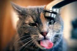 开云sport-北伦敦的阿根廷玫瑰，阿圭罗在阿森纳鏖战马赛之夜的高光表演