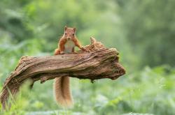 开云体育官网-汤杯惊魂夜！印度队3-2险胜丹麦改写历史，马琳临危救主成最耀眼星辰