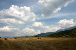 开云体育APP下载-足球场上的乒乓球风暴，瑞典队横扫德国队，张继科如何统治全场？