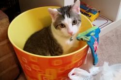 开云体育登录-黄金三秒与命运弧线，浙江队十年不遇的冷门，如何用一场年度焦点之战重写剧本