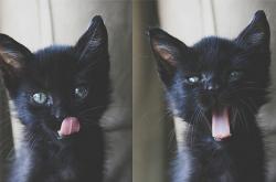 开云体育官网-范弗利特式爆发，重溯2004活塞草根冠军如何封印国王