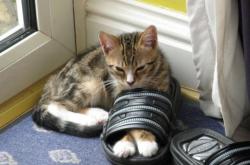 开云体育在线-德罗赞，一柄刺穿费城心脏的战矛，公牛冲垮76人完美诠释何为冠军级表现