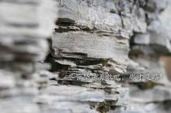 开云sport-星空、沙漠与迟来的冠冕，本泽马的美加墨世界杯之夜