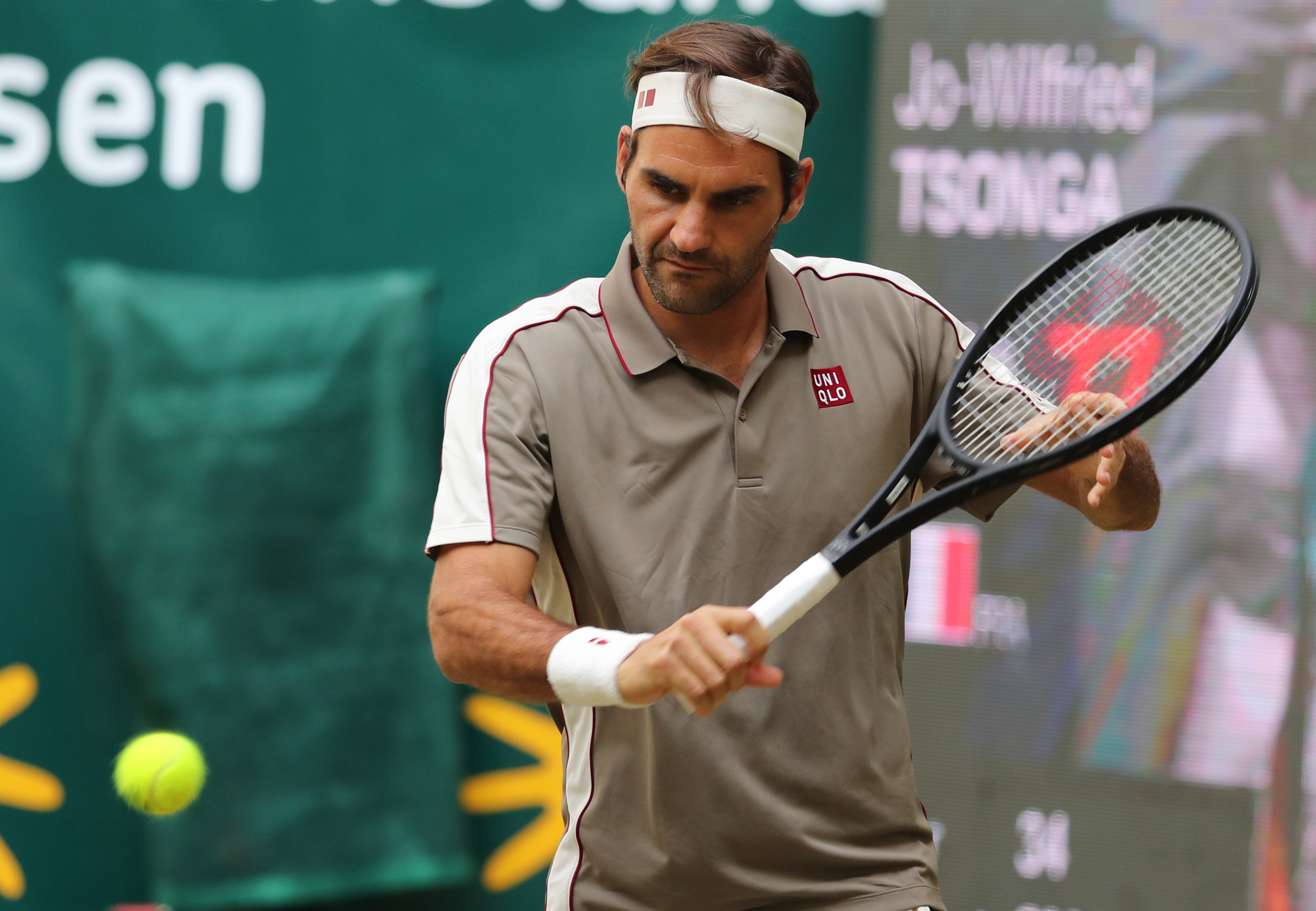 日本网球队绝地反击德国网球队，费德勒高光表现的简单介绍