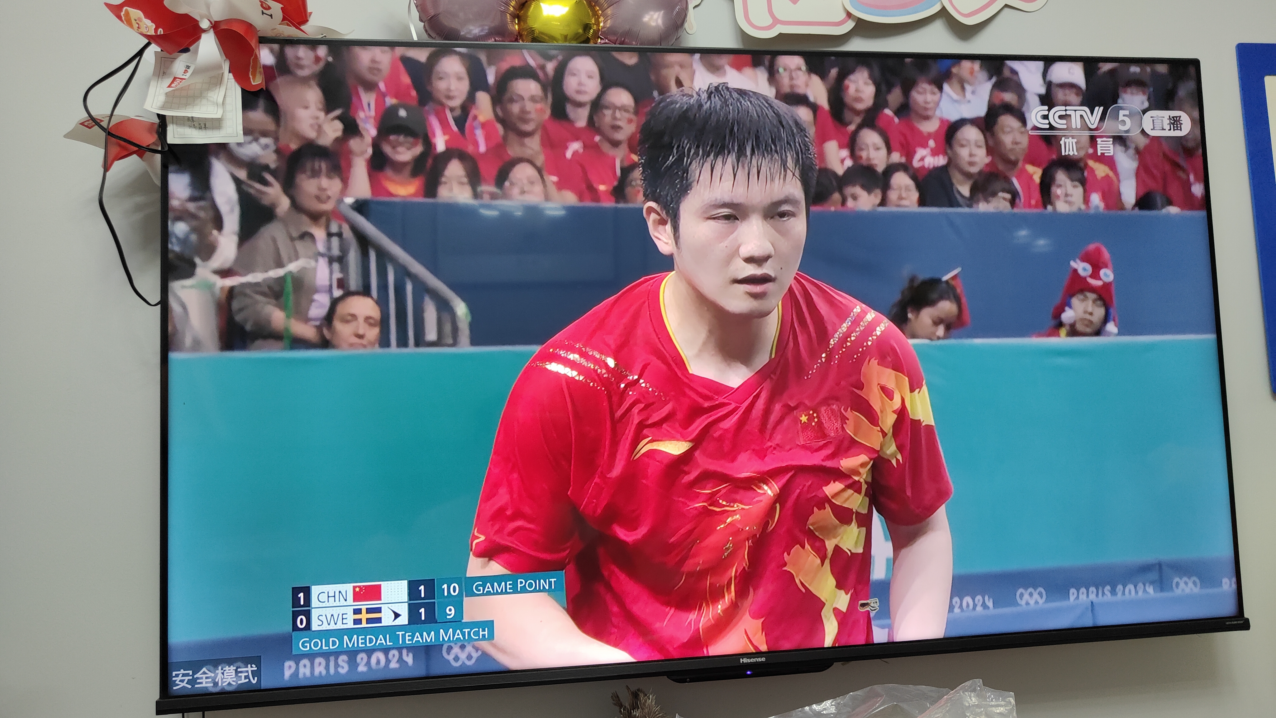 奥地利乒乓球队完胜波兰乒乓球队，樊振东统治全场