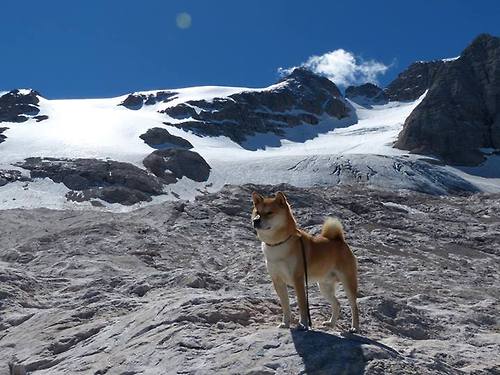 东西争锋!广东全员皆兵大破独行侠 克莱轰28分导演逆转