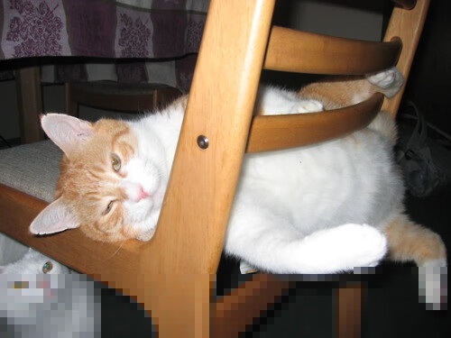 双线告捷背后,是韧性的胜利