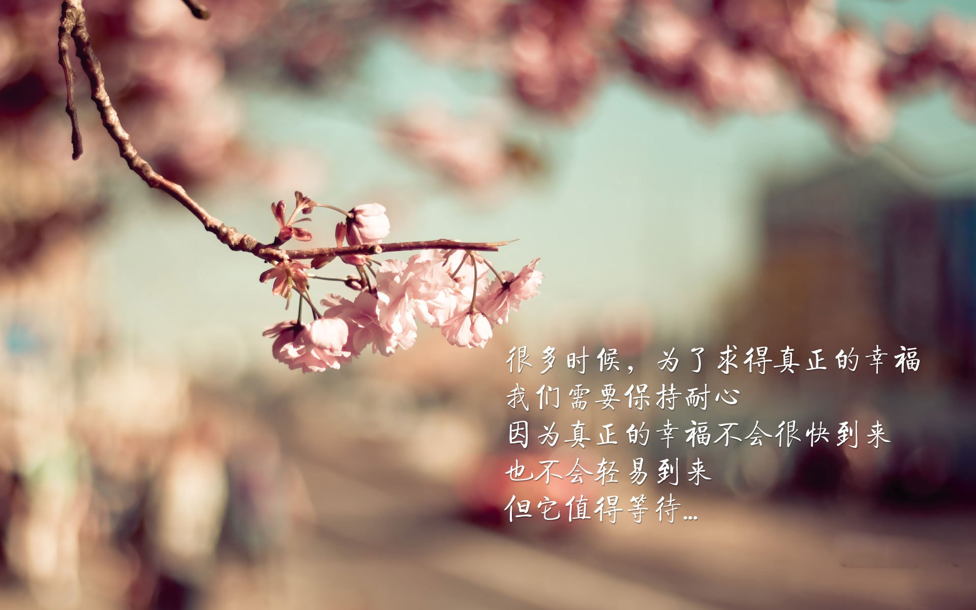 足球场上的乒乓球风暴，瑞典队横扫德国队，张继科如何统治全场？