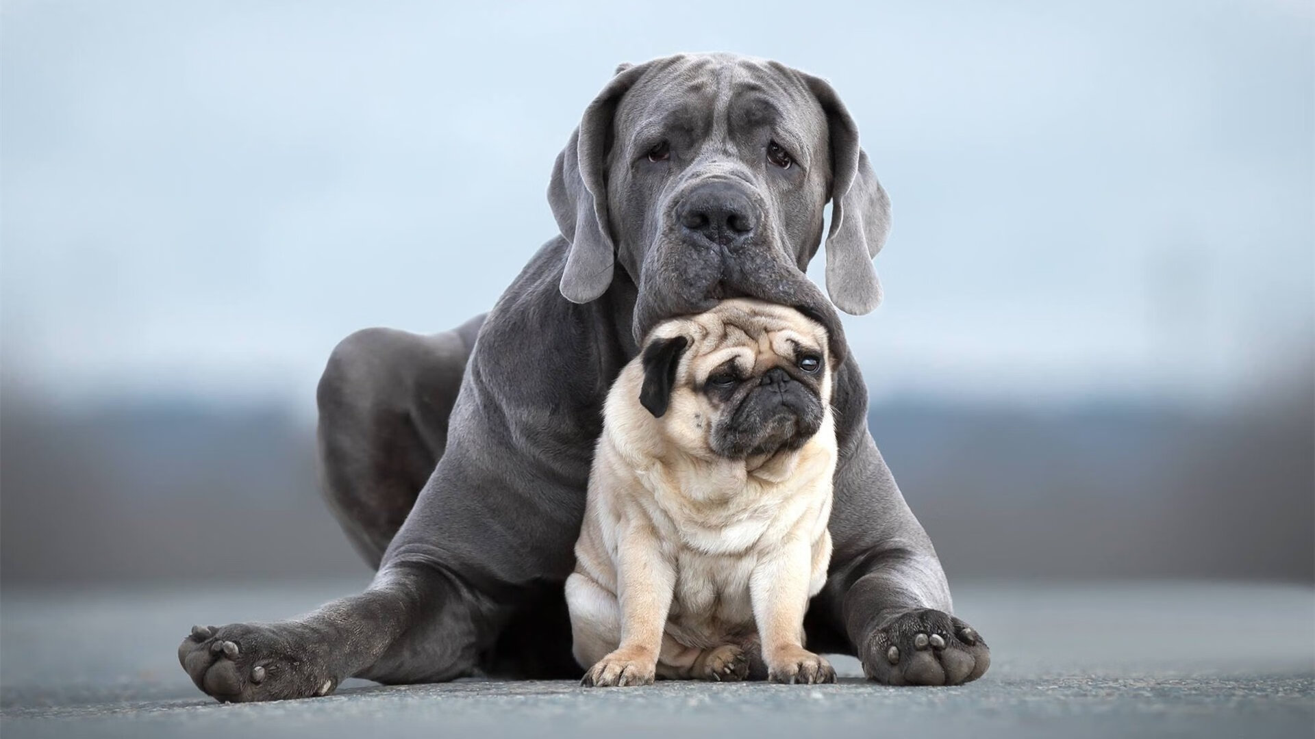 冷静的天才与燃烧的战场，京多安如何以一记反教科书表演，定义了史诗般的争冠之夜