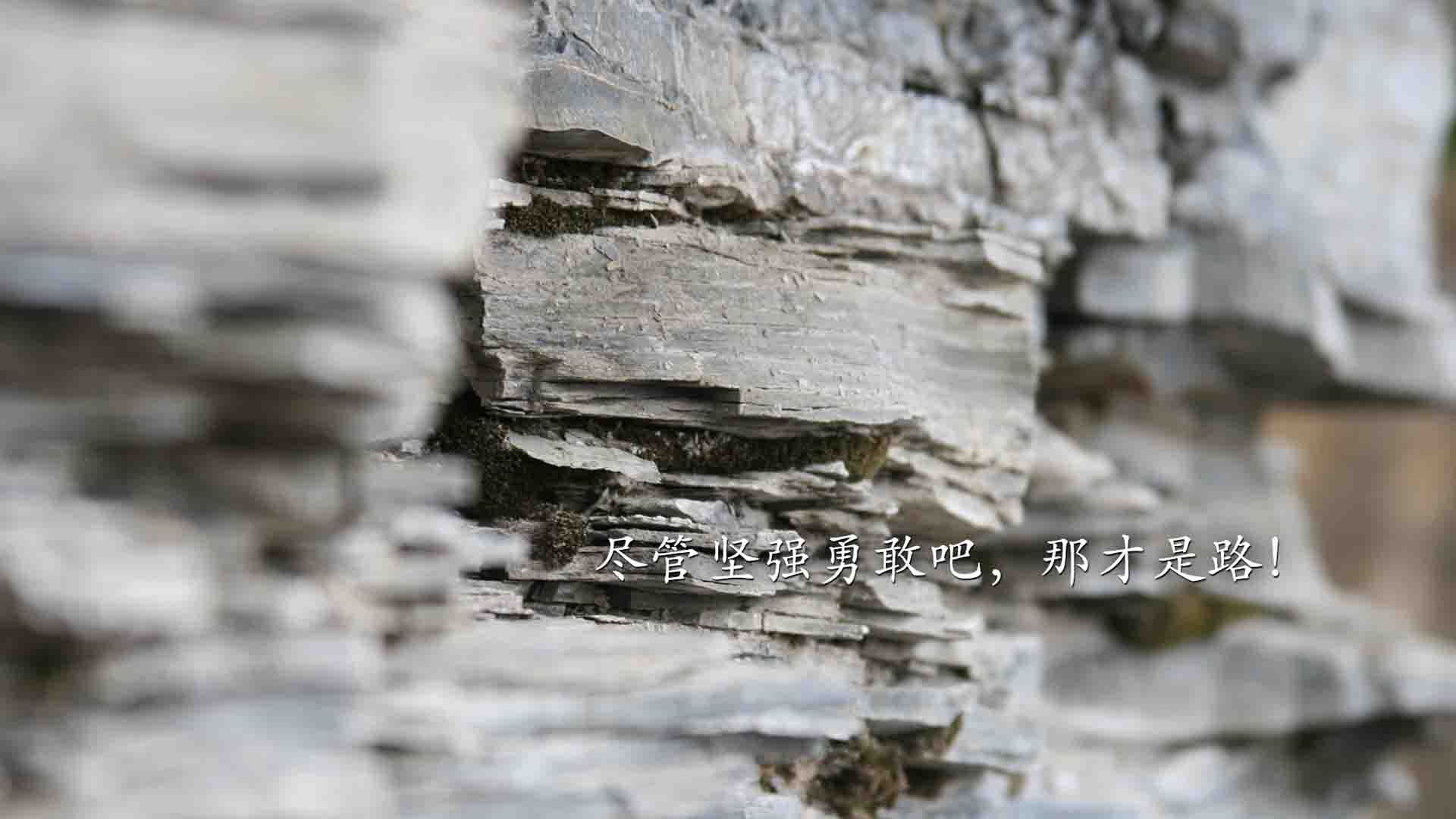 奥运周期关键战之夜，戈贝尔用实力证明自己