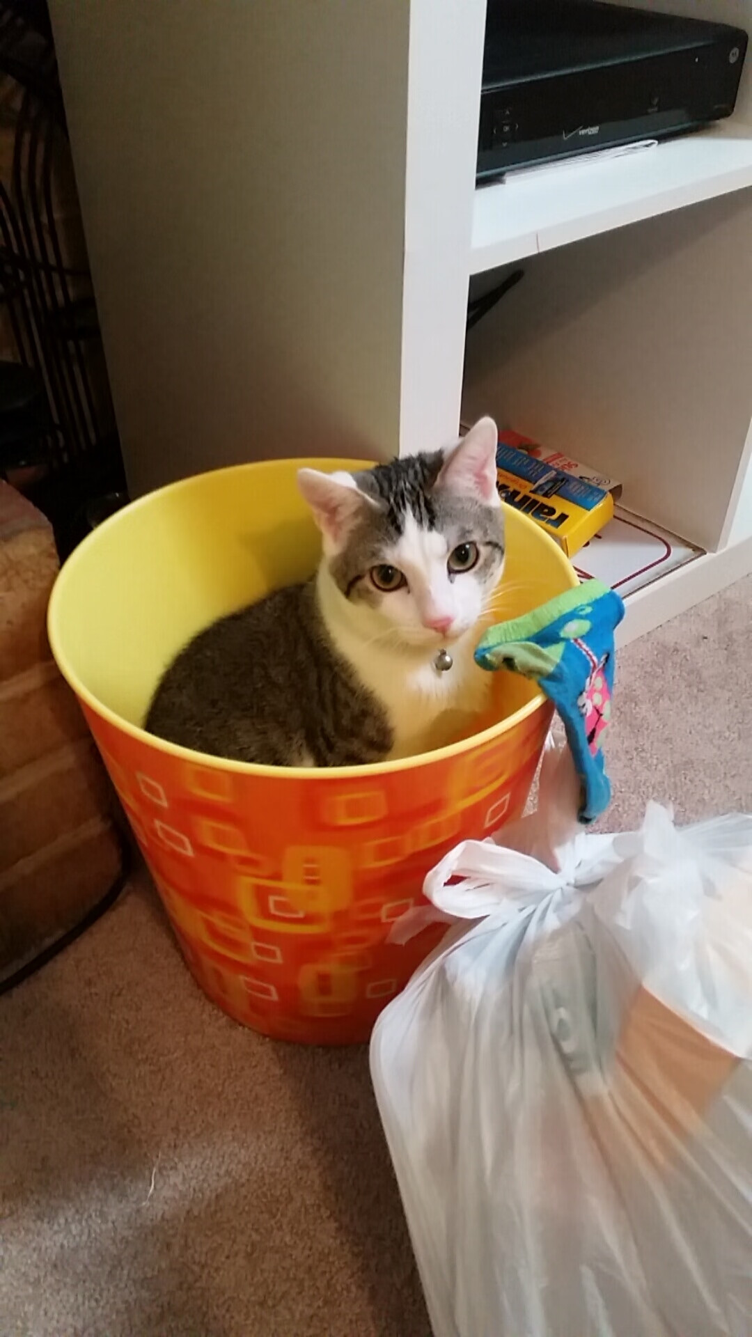 黄金三秒与命运弧线，浙江队十年不遇的冷门，如何用一场年度焦点之战重写剧本