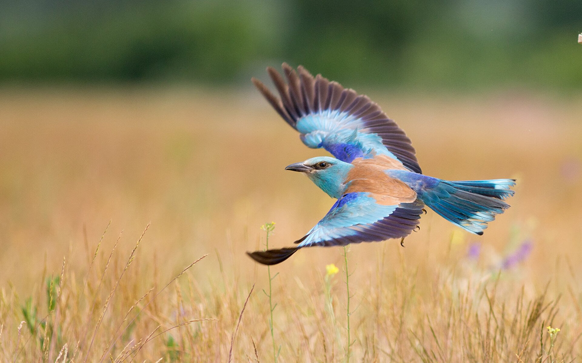 黄金三秒与命运弧线，浙江队十年不遇的冷门，如何用一场年度焦点之战重写剧本