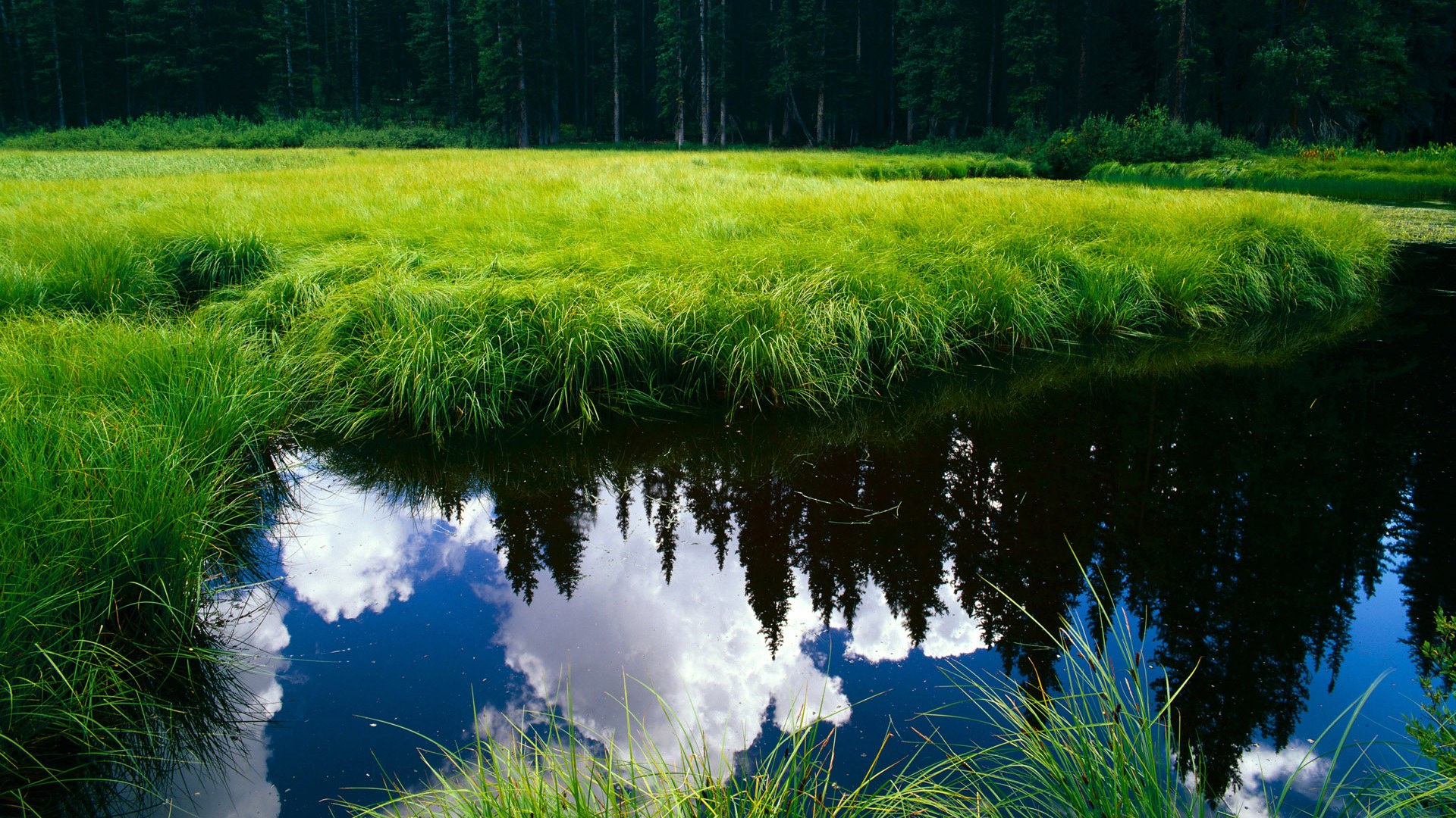 悬念终结者巴雷拉,当波兰慢棋扼杀加纳闪电战