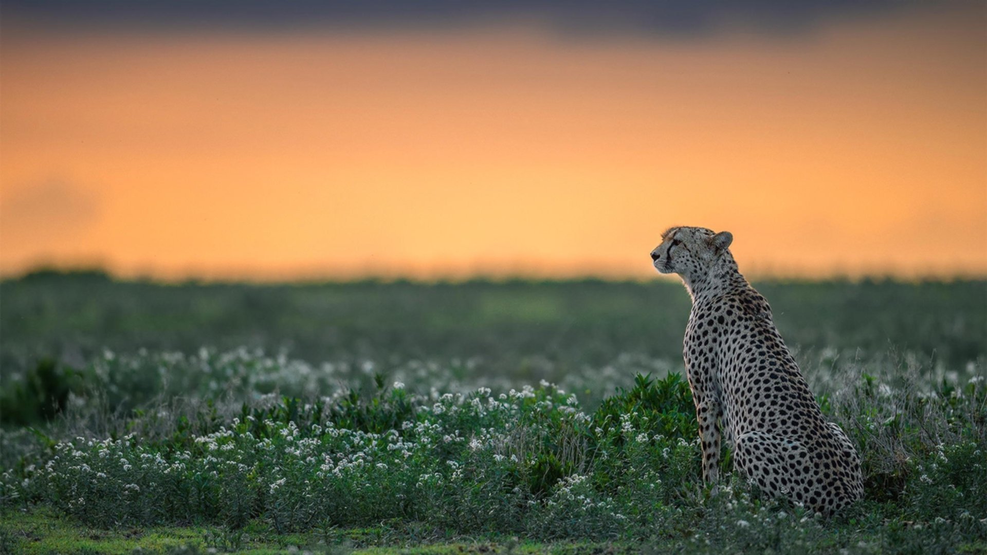 证明之战,凯尔特人在硬仗中击败快船,乔治末节神勇定乾坤