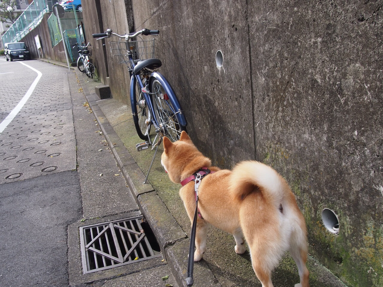 铁翼蔽日,老鹰防守天网锁洛城,福克斯末节封神定乾坤