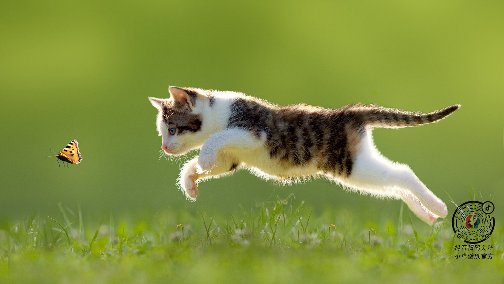 个人艺术与整体哲学的对决，萨拉赫的锋刃如何切割马赛的压制体系？