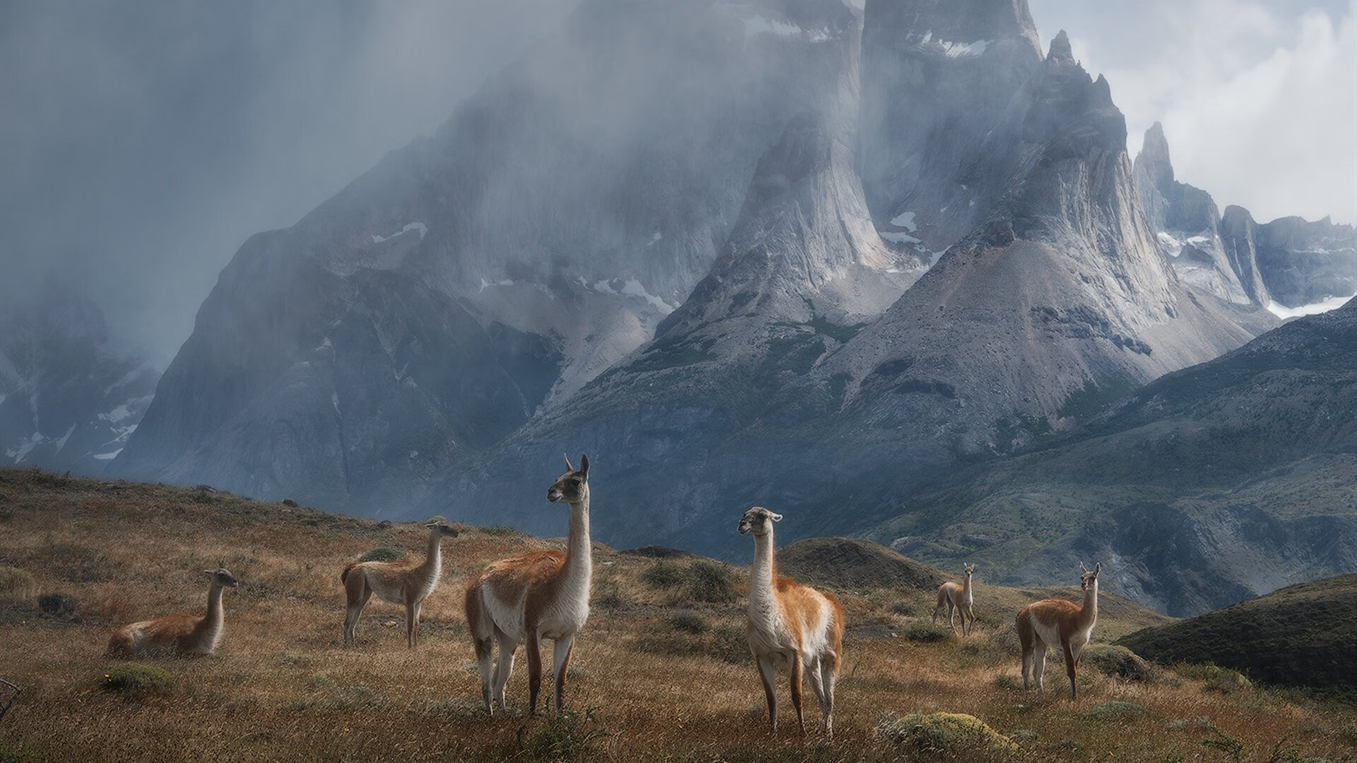 欧冠唯一性战役,加纳天才两连击撕裂米兰,拉什福德87分钟化身关键先生