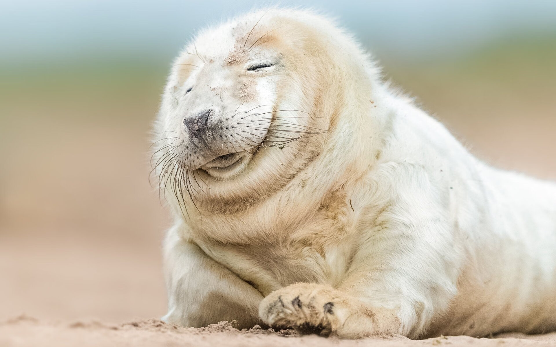 戈贝尔淬火记，爆冷吉林一战成关键先生