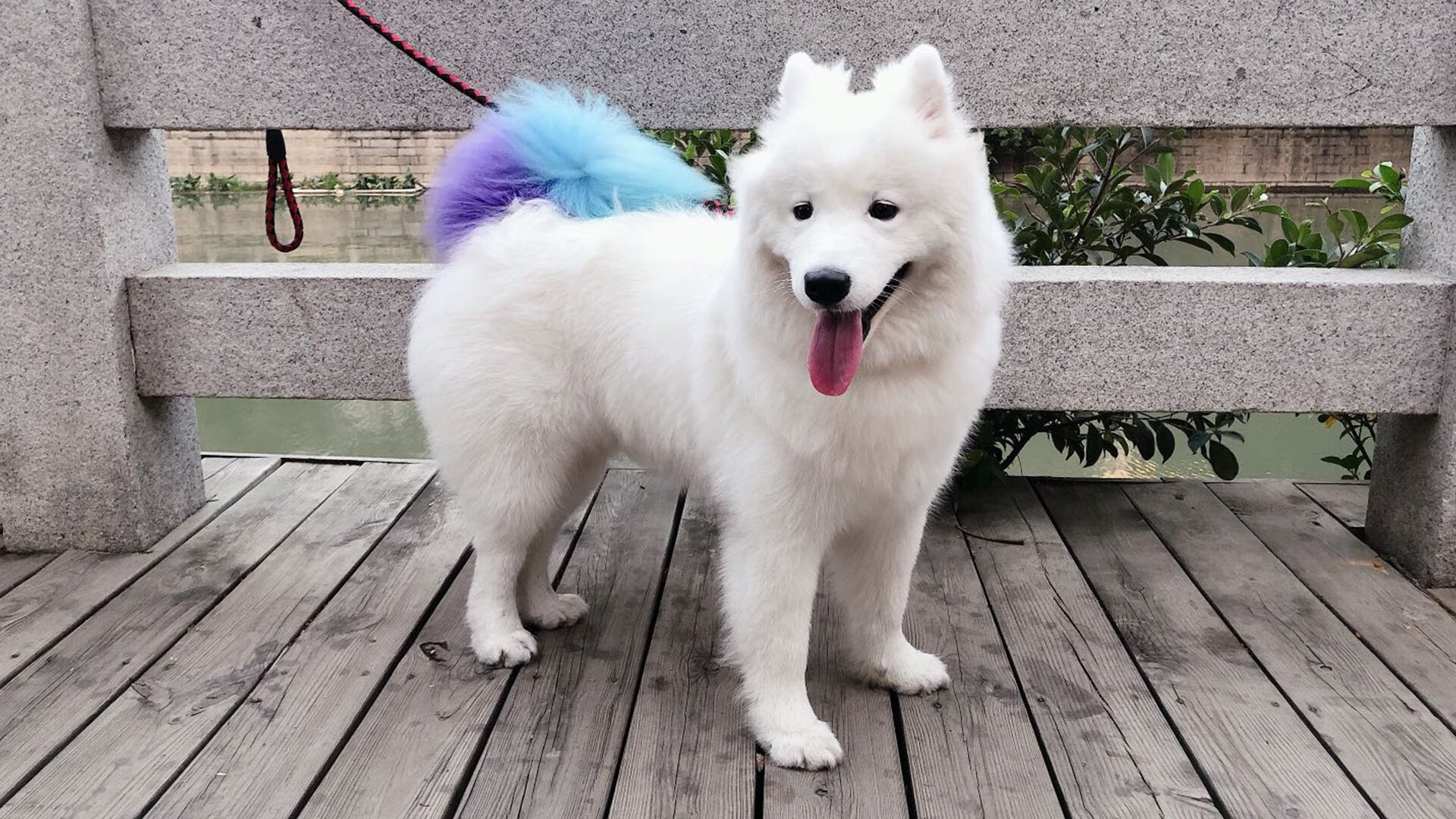 斯通斯的舞台，当曼城铁卫的哲学，在乌拉圭与那不勒斯的混沌中照亮胜利