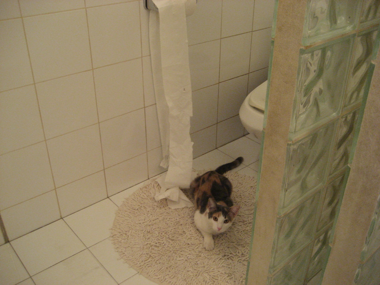 亚洲之盾对欧洲利剑，克瓦拉茨赫利亚制胜一击，奥地利战术收割沙特