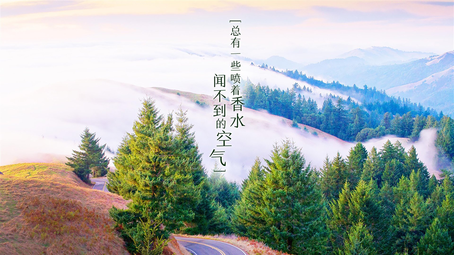 从边路猎豹到中场大脑，那一夜，阿诺德用降维变阵，改写了2026世界杯的剧本