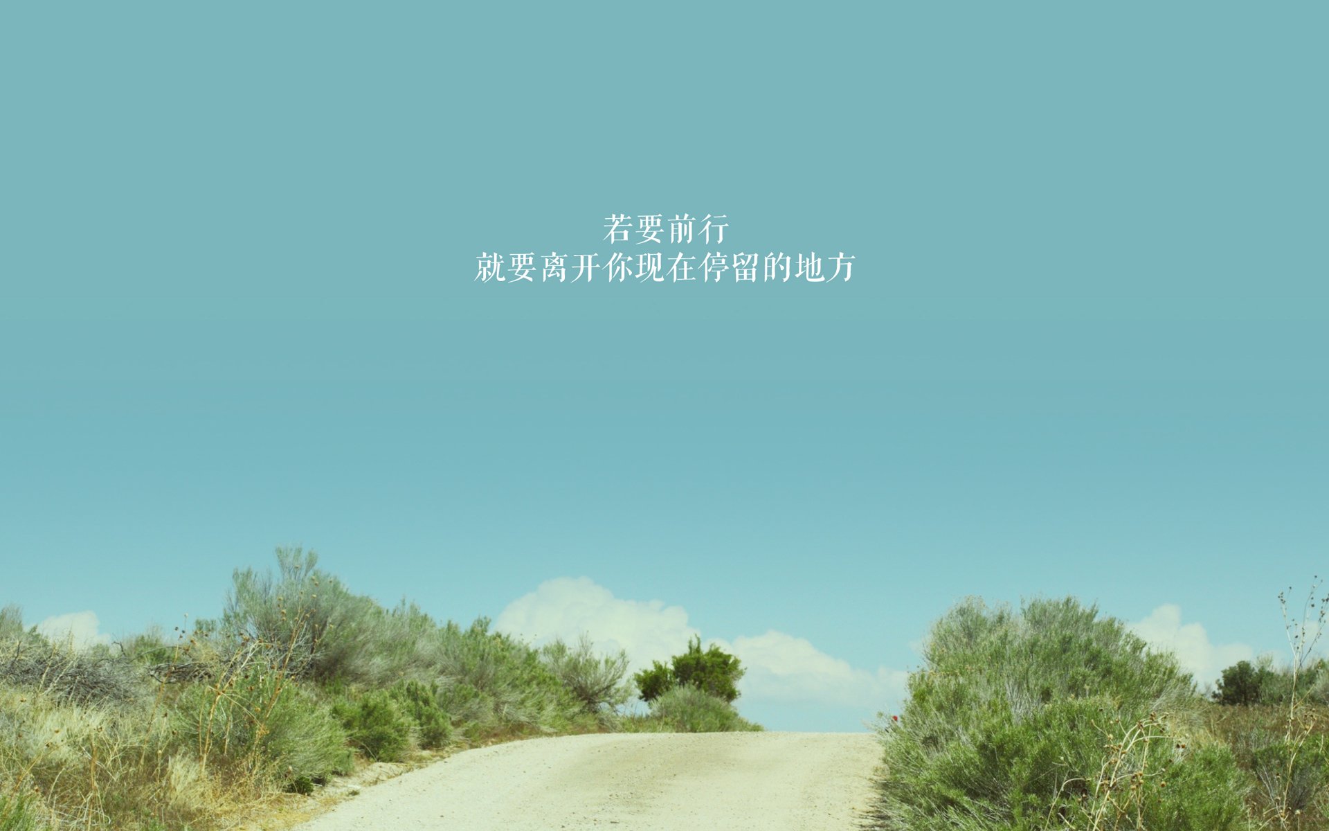 2026，绝杀之夜，C罗的永恒一瞬，加拿大黑马奔腾