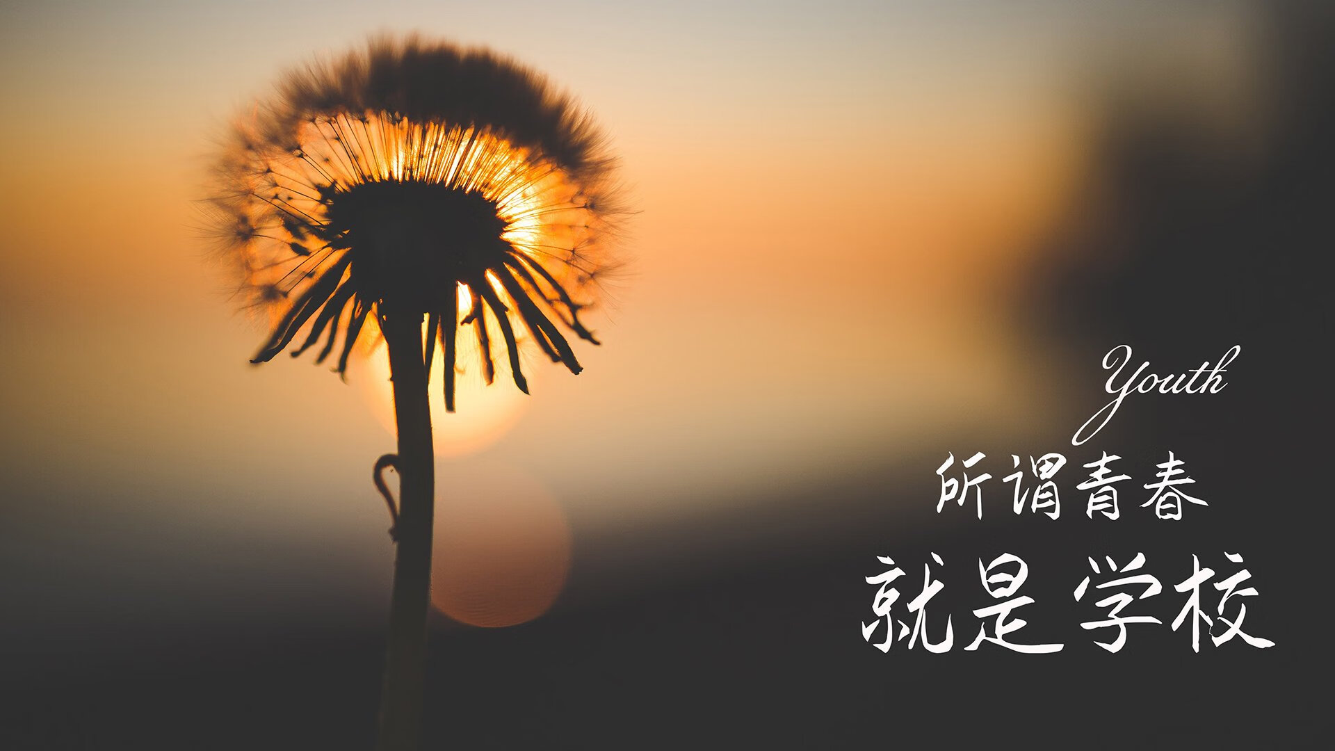 2026世界杯C组，穆西亚拉的关键一传，如何让匈牙利在德意志堡垒前溃不成军